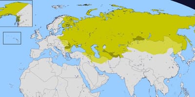 Mapa imperium Rosyjskiego