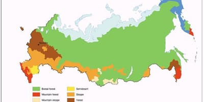 Tundra Rosji mapa